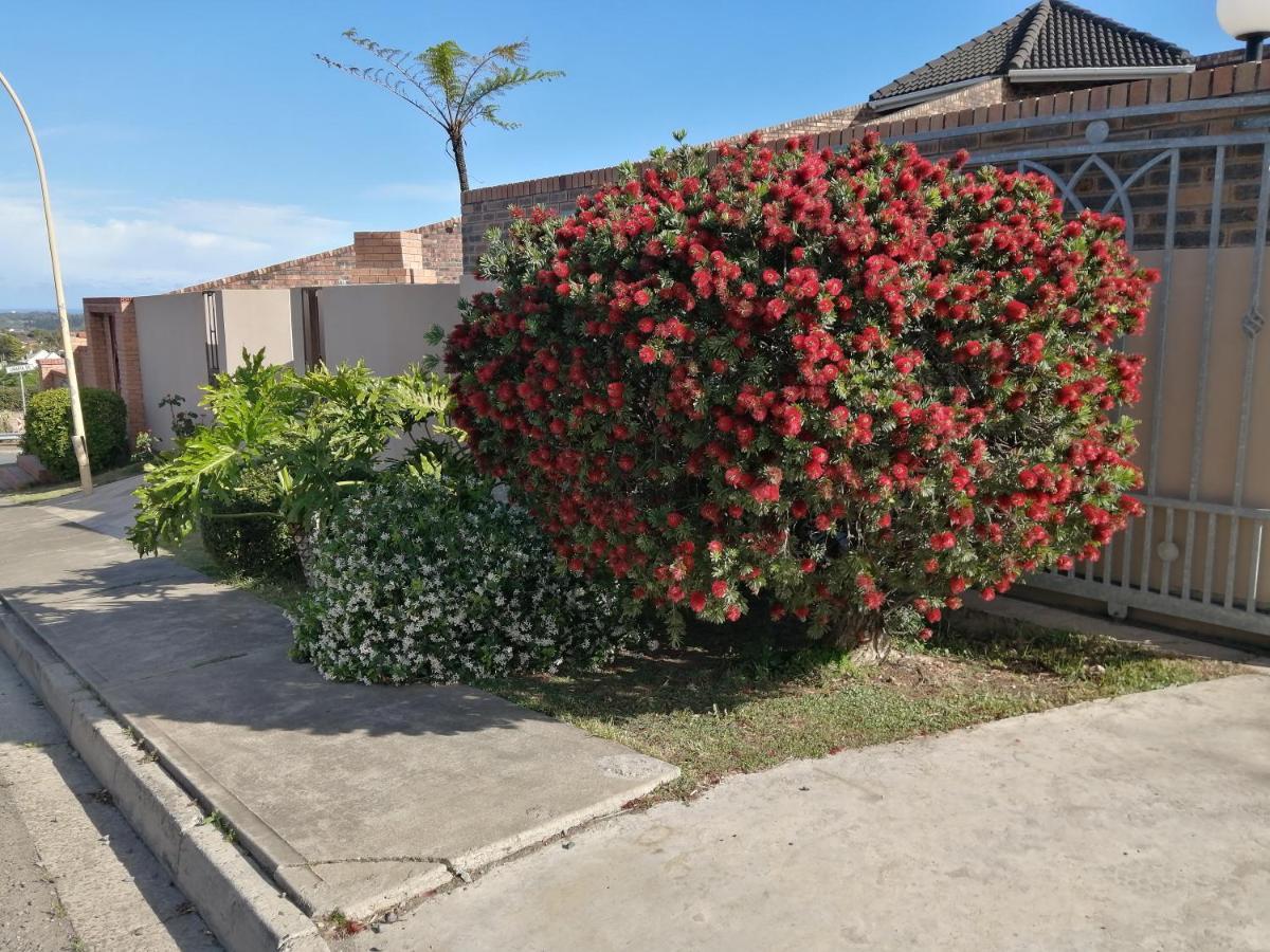 Blue Sea Guest House East London Luaran gambar